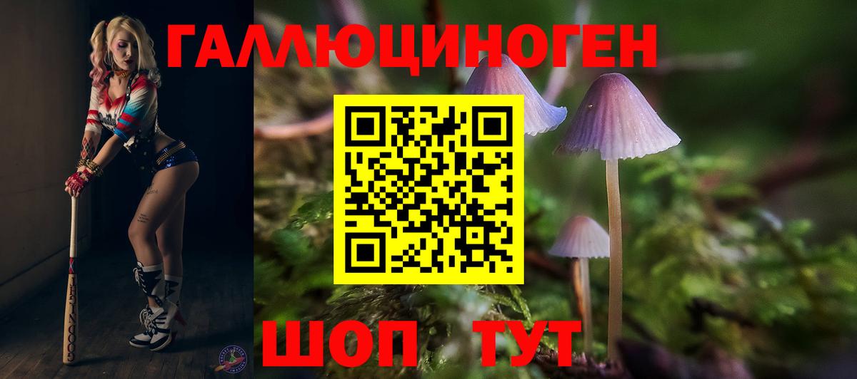 Псилоцибиновые грибы мухоморы  дарнет шоп  Тихорецк  Вход с VPN 